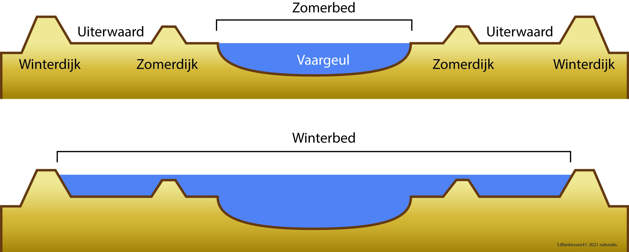 Rivierbedding BartvO CCBYSA3 0 Wikimedia Natuurwijzer